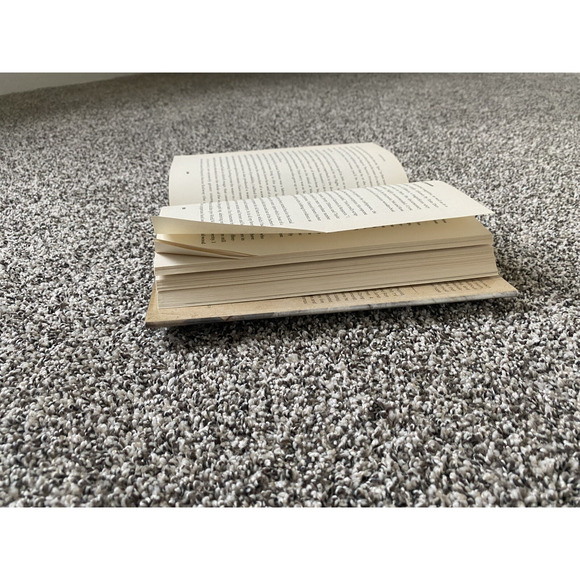 Gumption: Relighting the Torch of Freedom Hardcover Novel Book by Nick Offerman - Picture 9 of 10